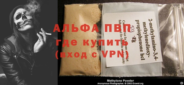 спайс Корсаков