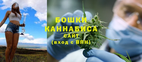 Альфа ПВП Костерёво