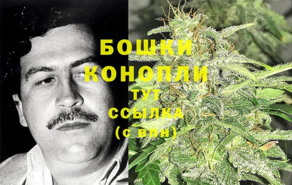 спайс Корсаков