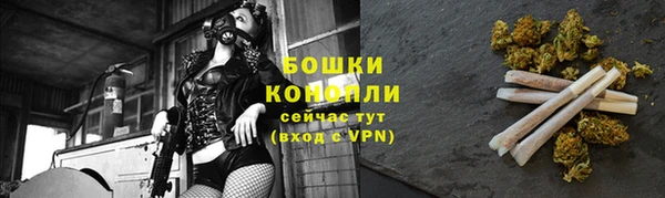 Альфа ПВП Костерёво