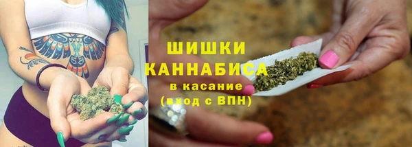 Альфа ПВП Костерёво
