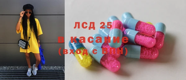 спайс Корсаков