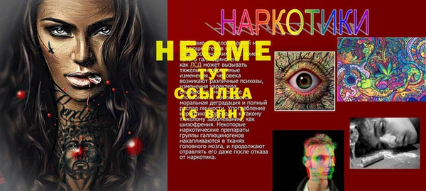 стаф Коряжма