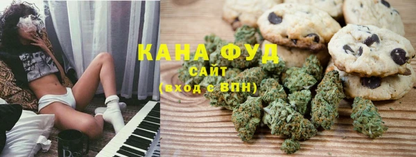 спайс Корсаков