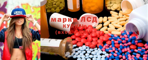 спайс Корсаков