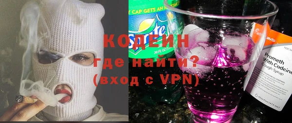 стаф Кодинск
