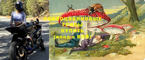 стаф Коряжма